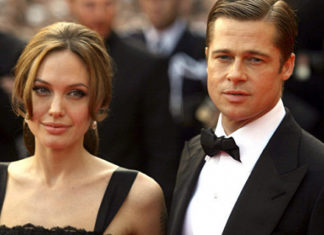 На Брэда Питта и Анджелину Джоли подала в суд дизайнер их дома во Франции