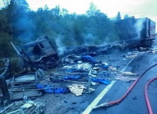 Пять человек погибли в ДТП в Порховском районе — МВД