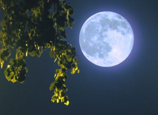 Лунный календарь сегодня. Луна 13 августа 2018 — растущая или убывающая луна, какая фаза сегодня