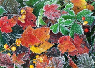 Россиянам напомнили про длинные выходные в ноябре