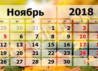 Как отдыхаем на ноябрьские праздники в 2018 году уже известно в сети интернет