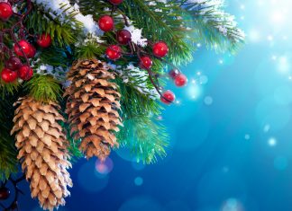 Как мы отдыхаем на Новый год 2018-2019, сколько дней