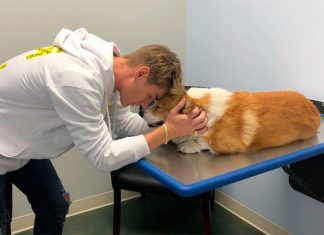 Сочувствуем! Умер любимый пес Алексея Воробьева