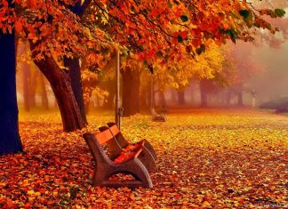 Как отдыхаем в ноябре 2018 года выходные дни