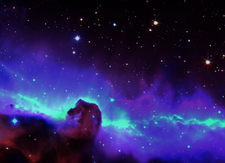 Гороскоп на неделю с 19 по 25 ноября