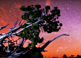 Свежий гороскоп на 22 ноября 2018 года — Четверг