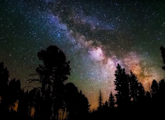 Свежий гороскоп на 23 ноября 2018 года. Пятница