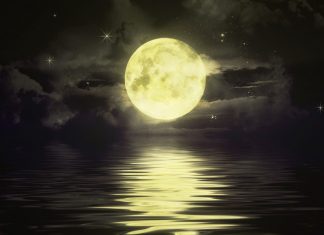 Какая Луна сегодня, 24 ноября 2018:фазы Луны, влияние на человека, лунный календарь по дням