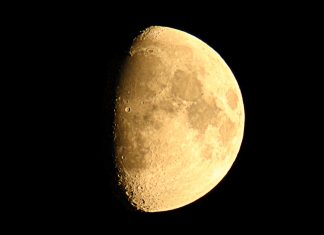 Какая сейчас Луна в ноябре: растущая или убывающая, фаза Луны