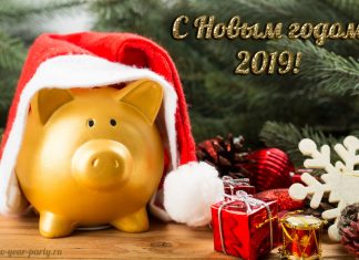 Как встретить год Свиньи 2019: приметы, советы