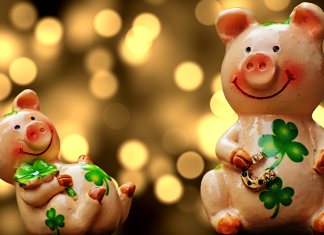 Новый год Свиньи 2019: как встречать, в чём, что готовить, что будет в 2019 году Свиньи