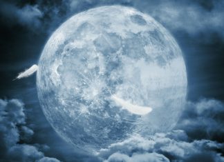 Фаза Луны 22.01.2019. Лунный день на 22 января 2019 года в лунном календаре