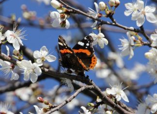 Стало точно известно как отдыхаем на майские праздники в 2019 году