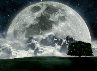 Лунный календарь март 2019 года: фазы луны, когда полнолуние, новолуние, благоприятные дни, растущая луна