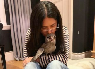 Причуды звезд: Сальма Хайек завела дома живую сову