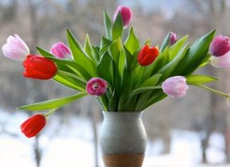 Как отдыхаем на 8 марта 2019 года: сколько выходных дней