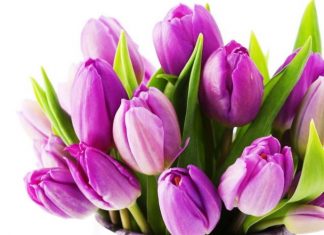 Как отдыхаем на 8 марта в 2019 году