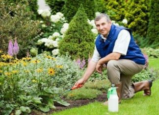 Лунный календарь садовода и огородника на февраль 2019 года