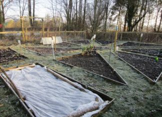 Лунный календарь садовода и огородника на март 2019 года, благоприятные дни