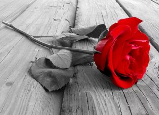 Новый Холостяк 2019 — кто станет главным претендентом в новом 7 сезоне?