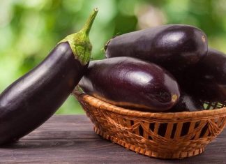 Когда сажать баклажаны на рассаду в 2019 году