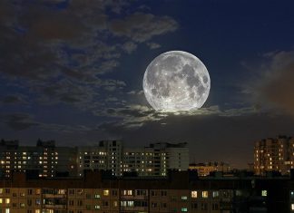 Лунный день и фаза Луны Полнолуние сегодня 19 февраля 2019: гороскоп на любовь, отношения, финансы, здоровье