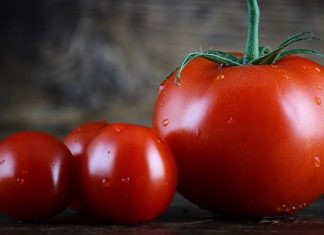 Когда сажать помидоры на рассаду в 2019 году по лунному календарю в марте