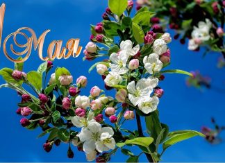 Как отдыхаем в мае 2019 года: официальные выходные