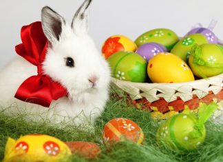 Католическая и православная Пасха в 2019 году: дата, какого числа, традиции и обычаи