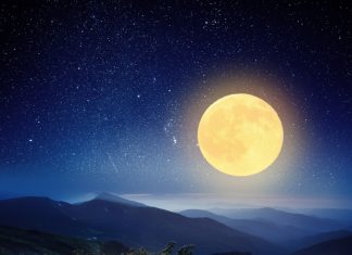 Лунный посевной календарь на 2019 год: таблица по месяцам