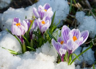 Как отдыхаем в марте 2019, календарь выходных