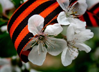 Как отдыхаем на майские праздники в 2019 году: как отдыхаем в мае