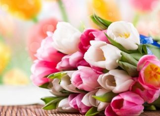 Официальные выходные в марте 2019: как отдыхаем