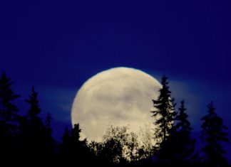 Фаза Луны 21 марта 2019 года по лунному календарю — Луна сегодня