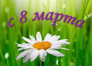 Поздравления на 8 марта: в стихах, в прозе, красивые слова на Международный женский день