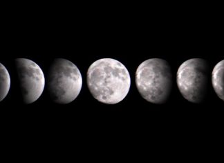 Лунный календарь садовода на март 2019 года: благоприятные дни