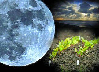 Лунный календарь на апрель 2019 года