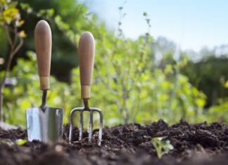 Лунный календарь посадок на март 2019 года: самые благоприятные дни