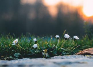 Весеннее равноденствие 2019. С 20 марта наступает астрономическая весна