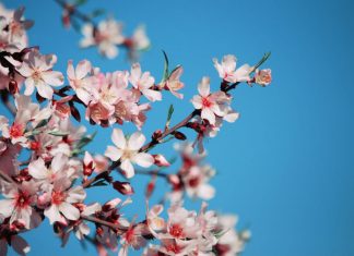 Как отдыхаем в мае 2019 года — выходные на праздники