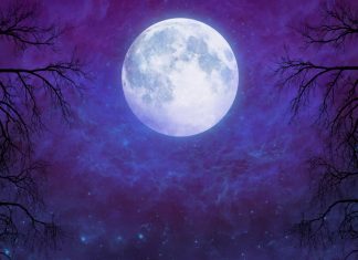 Когда будет полнолуние в марте 2019: дата, время, что можно и нельзя делать