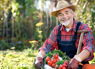 Календарь садовода и огородника на апрель 2019