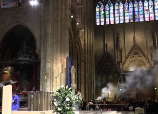 Пожар в Соборе Парижской Богоматери — видео