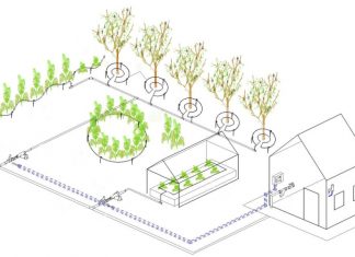 Система капельного полива