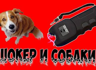 Электрошокер от собак: принцип действия