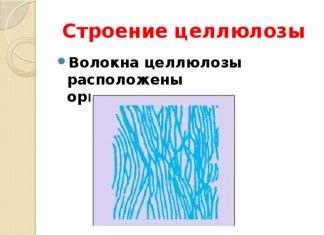 Особенности строения целлюлозного волокна