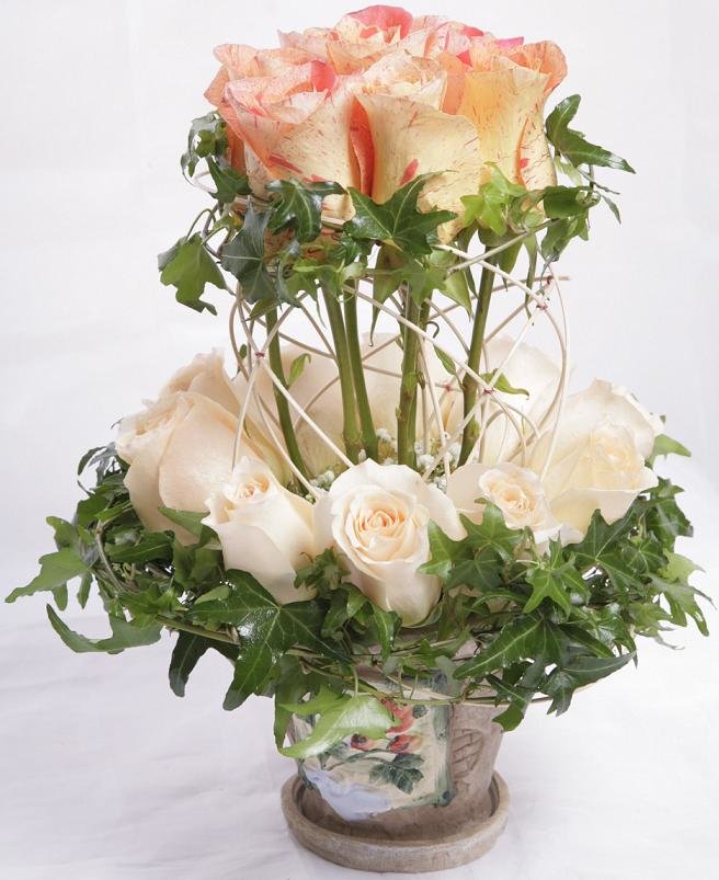 Что представляет собой биоревитализация?