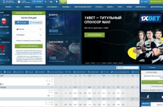 Правила приема ставок в букмекерской конторе 1хБет