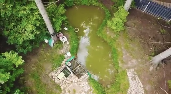 Эко-беседка и зона отдыха с прудом: как выглядит загородный участок Людмилы Хитяевой после ремонта