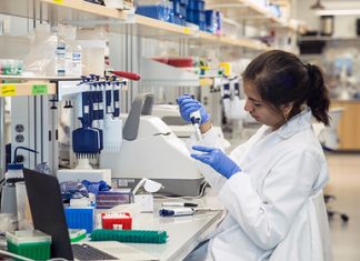 Исследование на фекальный кальпротектин